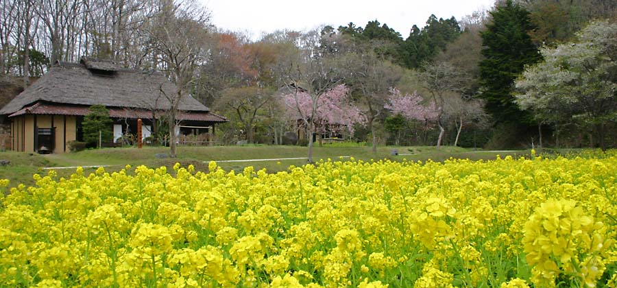 いわき市教育文化事業団施設写真